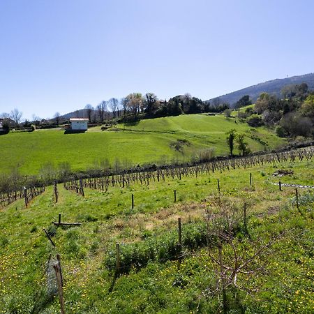 Basarte Cottage Bakio Dış mekan fotoğraf